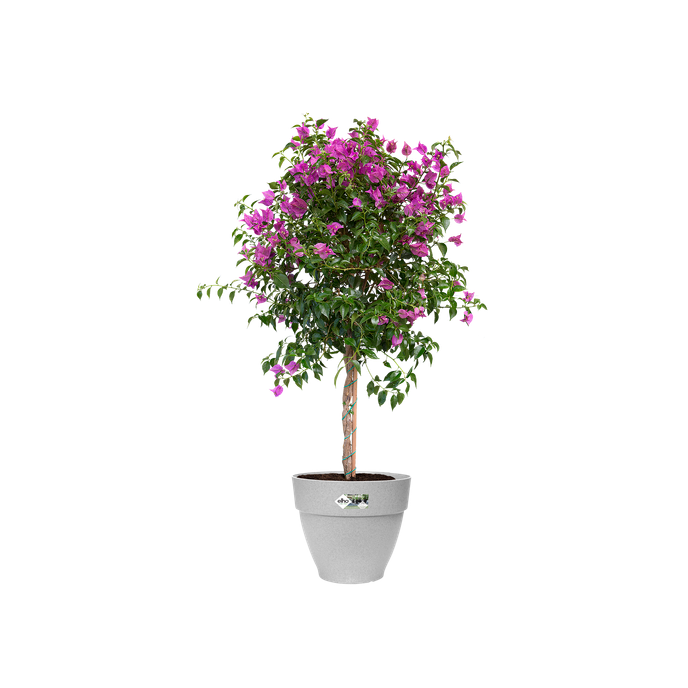 vibia campana rond 55cm living ciment